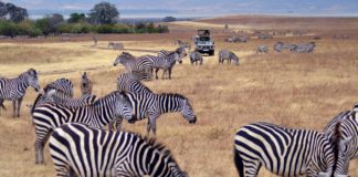 ÁFRICA: roteiro de 23 dias por cinco países