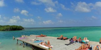 CAYE CAULKER: mergulho, tubarões, corais, como ir