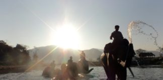 CHIANG MAI: elefantes, o que fazer, como ir