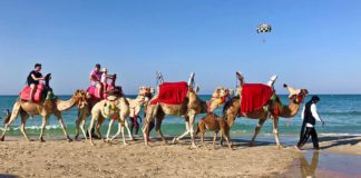 DJERBA: praias, o que fazer, onde ficar e mais dicas