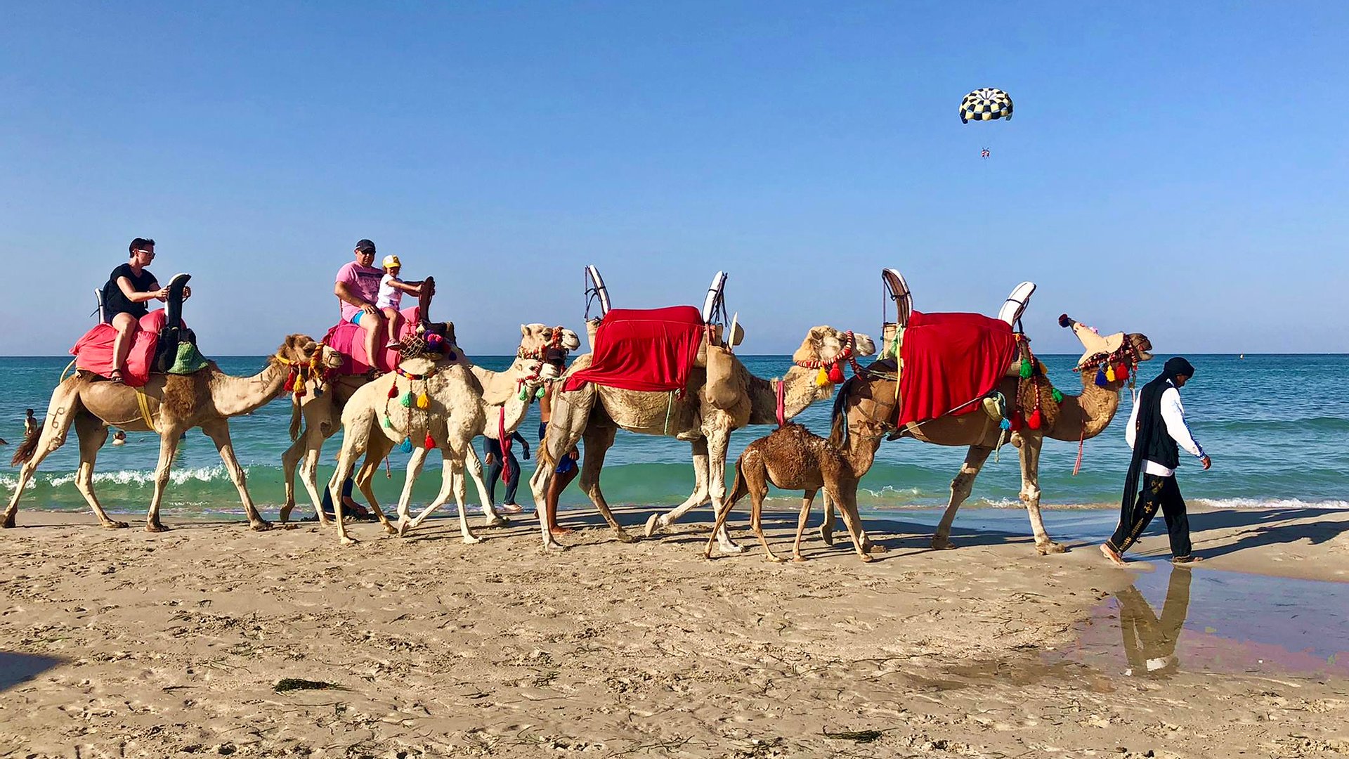 tour operator tunisia djerba