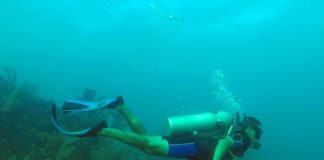 UTILA: curso de mergulho e o que fazer nesta ilha em Honduras