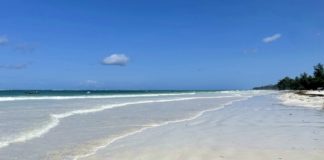 DIANI BEACH: praias, o que fazer, como ir, dicas